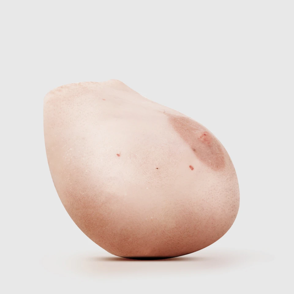 LE SEIN by REALETEE - prothese 03 LE SEIN by REALETEE - prothese 03